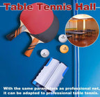 QuickNet Ping Pong Set